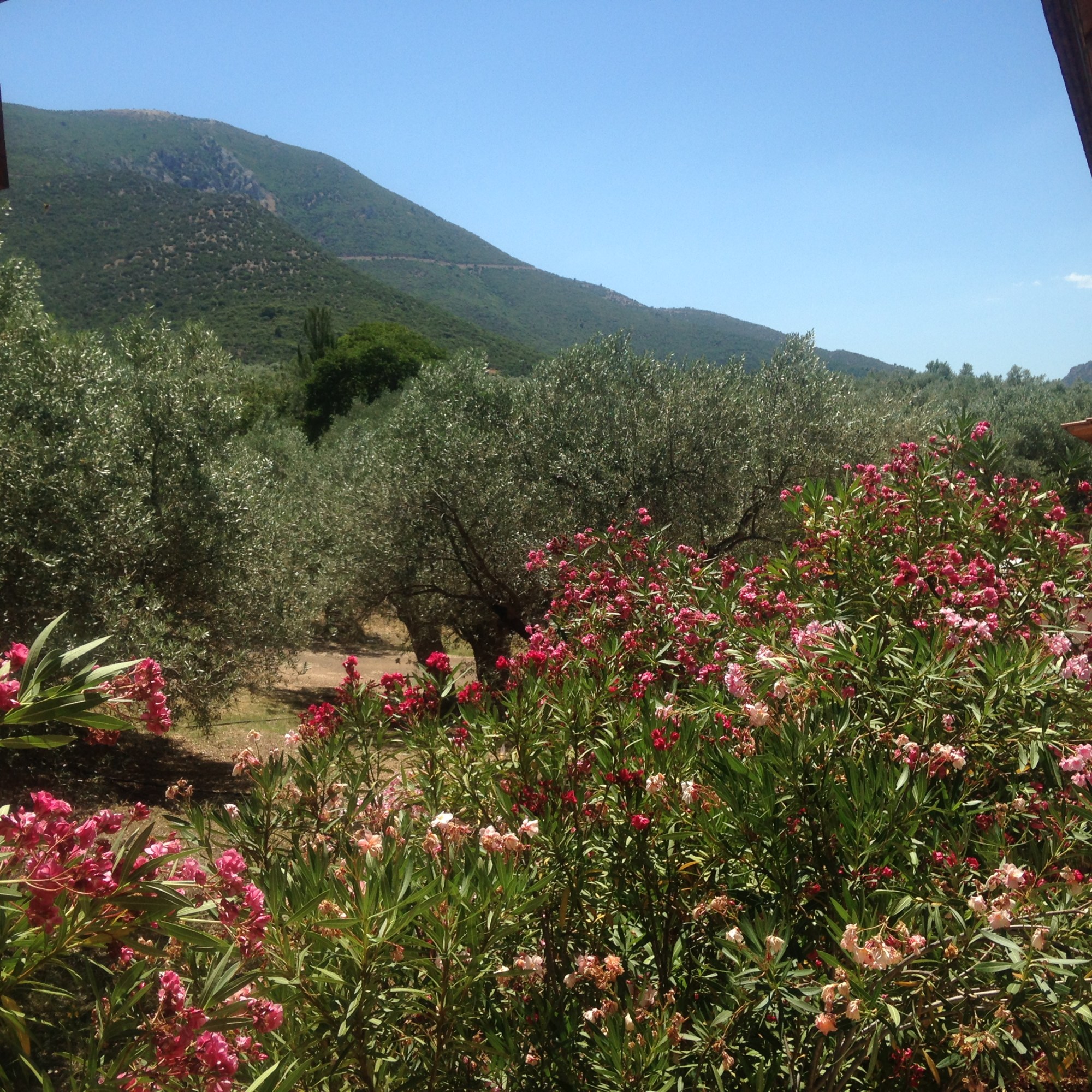 Uitzicht vanuit het huis